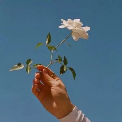 开开棋牌手机app下载