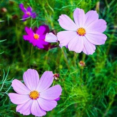 中欧·体育下载手机版